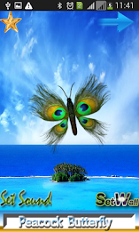 Peacock Butterfly poster 13