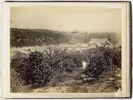 Gezicht op plantage met Europese man, Langkat Sumatra