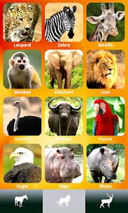 How to mod ZOOLA - Animal school for kids 3.6 apk for laptop