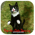 Popular Cats Live Wallpaper