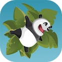 Crazy Panda