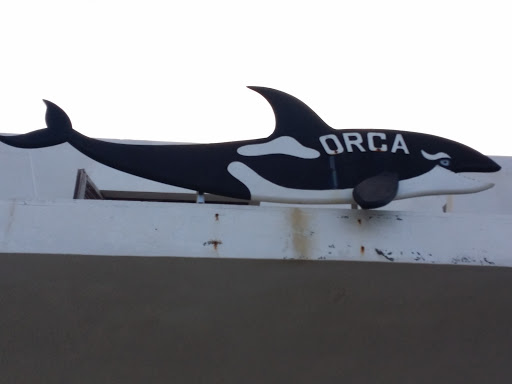 The Orca