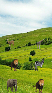 How to install Animal Match Screen Lock 1.1 apk for pc
