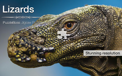 Lizard Jigsaw Puzzles Demo poster 1
