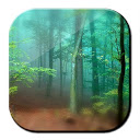 Forest Live Wallpaper 3D mobile app icon
