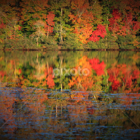 Fall on Chanoa Lake, Bell County Ky by Paul Mays - Landscapes Waterscapes