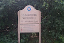 Sugartree Woodlot
