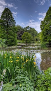 Free Download Nature Live Wallpaper APK for Android