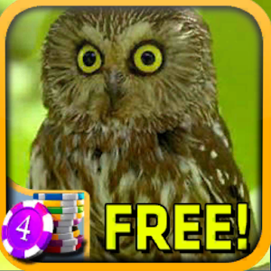 3D Owl Slots - Free.apk 2