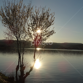 Pored Dunava by Marija Mitrović - Landscapes Sunsets & Sunrises