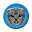 Kittens Download on Windows