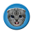 Baixar Kittens APK para Windows