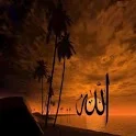 Islamic Library icon