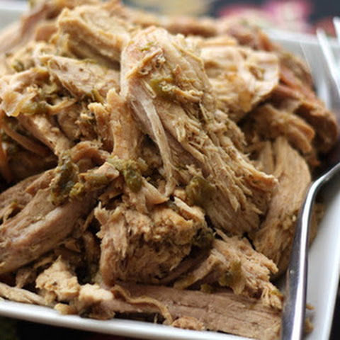 737 New pulled pork recipe for crock pot 139 Crock Pot Green Chile Pulled Pork 