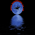 moonhorse racing tips Apk