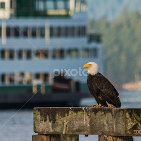 another from the other day by Eddie Murdock - Uncategorized All Uncategorized