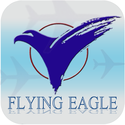 Flying Eagle Travel Pte Ltd 旅遊 App LOGO-APP開箱王