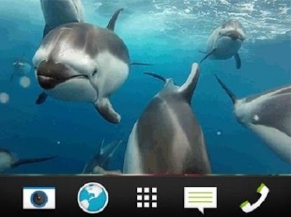 Lastest Dolphin wallpaper LIVE APK for Android