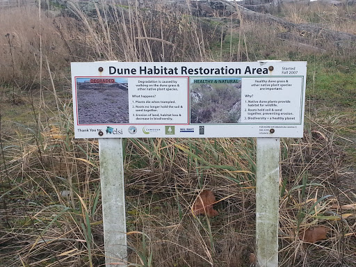Dune Habitat Restoration Project
