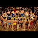Sumo Wallpaper logo