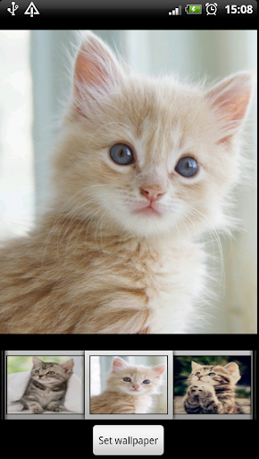 【免費個人化App】可愛的貓高清壁紙-APP點子