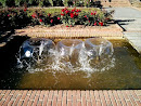 Fountain at the Rose Garden