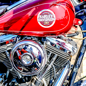 Harley Davidson by Siha Sao - Transportation Motorcycles