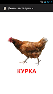 Free Ukrainian flashcards - Pets APK for Android