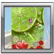 Romantic Live Wallpaper