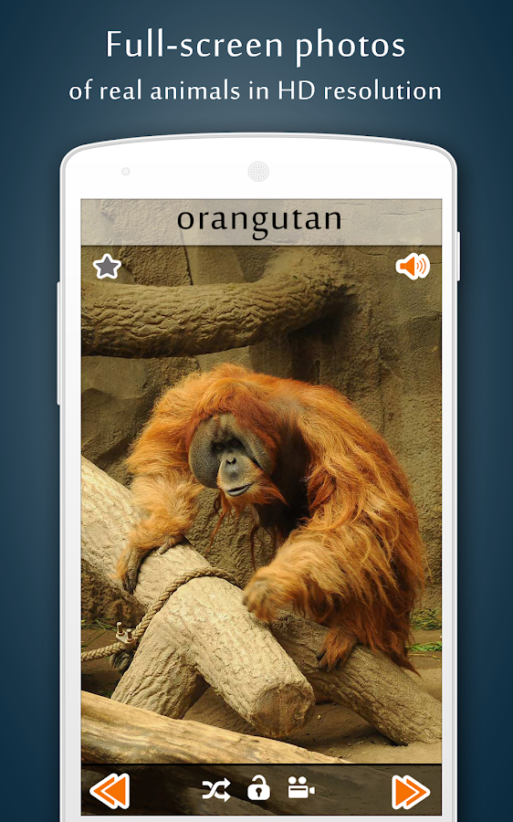 Animal Sounds Android Apps on Google Play