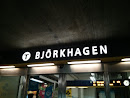 Björkhagen Station 