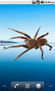 How to install Spider Tarantula Sticker patch 1.1 apk for laptop