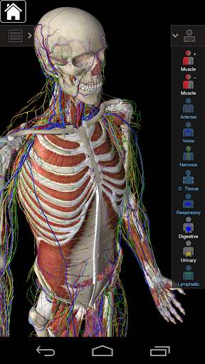 【免費醫療App】Essential Anatomy 3-APP點子