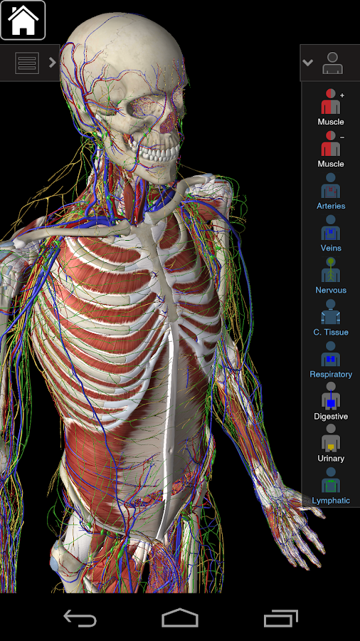 Essential Anatomy 3 - screenshot