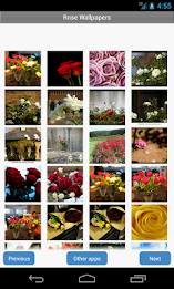 Rose Wallpapers by Right Brain Mobile poster 3