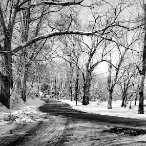 Snowy road home in Pennsylvania by Dianne Collins - Landscapes Weather