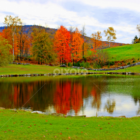 Fall Reflections by Christine Hanaford - Landscapes Prairies, Meadows & Fields