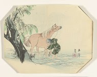 Een paard wassend in rivier