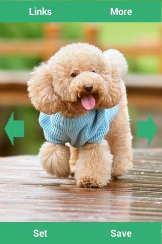 Puppies Wallpapers