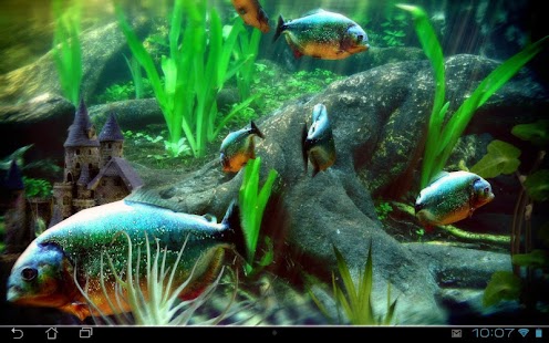 Piranha Aquarium 3D lwp