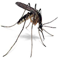 Mosquito Killer Apk