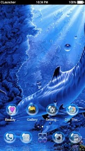 Dolphins Life C Launcher Theme Screenshots 3
