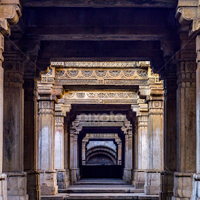 adalaj by Himanshu Maya - Buildings & Architecture Architectural Detail