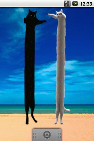 Android application Long Cat Wigets screenshort