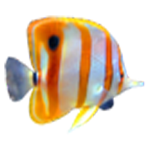 Galaxy Free Aquarium Wallpaper.apk 1.1