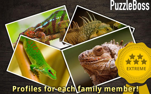 【免費休閒App】Lizard Jigsaw Puzzles-APP點子