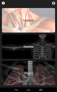 Anatomy Quiz Pro