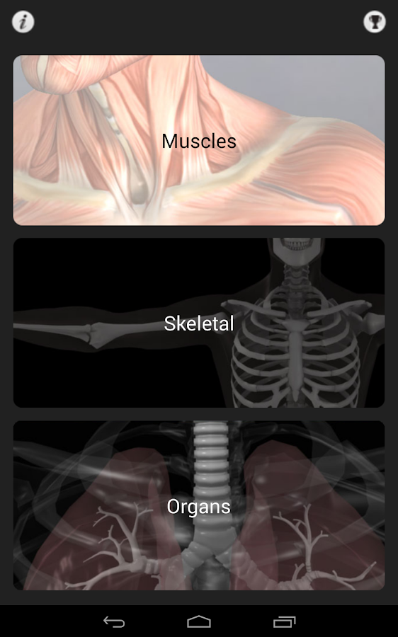 Anatomy Quiz Pro - Android Apps on Google Play