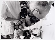 Een kind gaat ter communie tijdens een kinderbedevaart