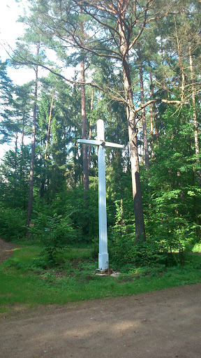 Stary Przydrożny Krzyż w Lesie 1883
